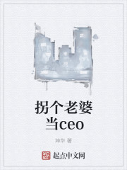 拐个老婆当ceo